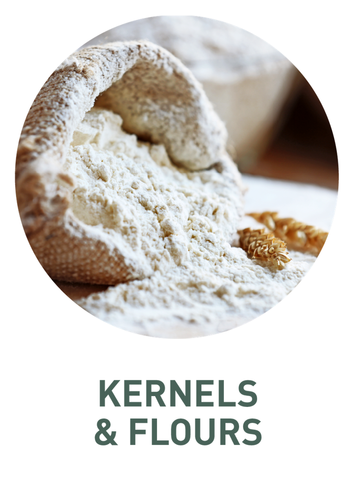 Kernels and flours of rye