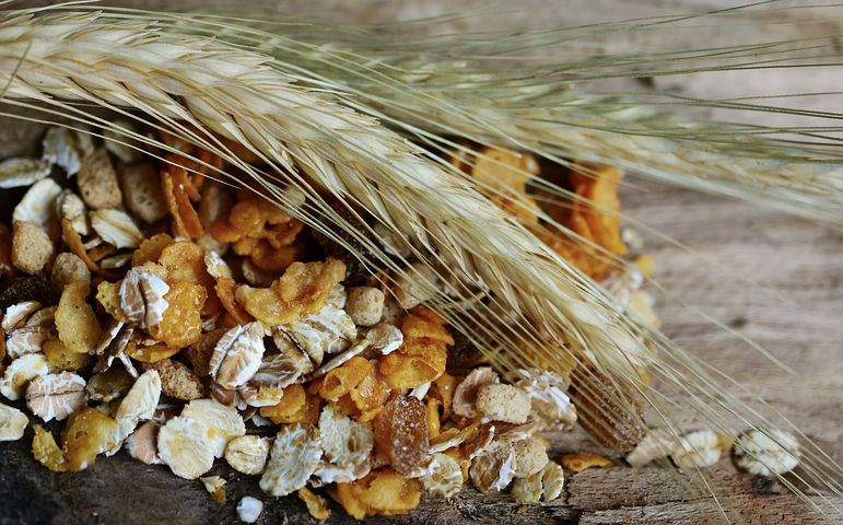 Illustration for the article: Wholegrains may reduce body weight and inflammation independently of gut microbiota