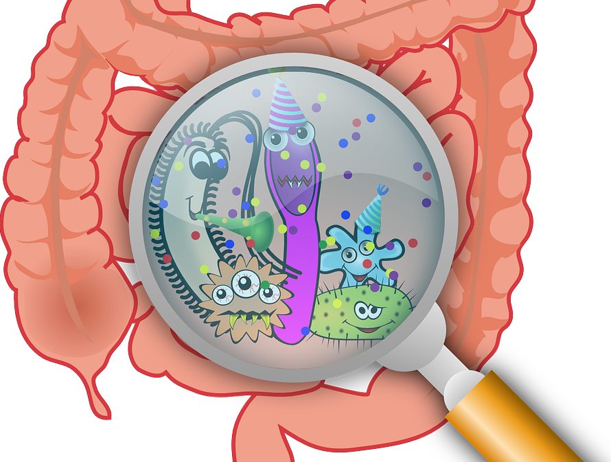Illustration for the article: Wholegrain rye and wheat have beneficial effects on the gut without altering fecal microbiota